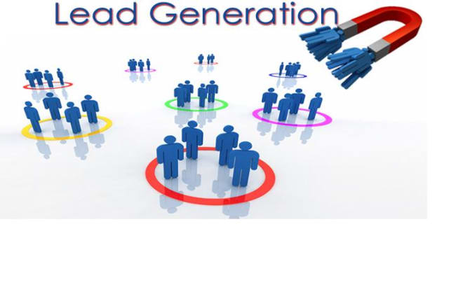 I will get your small business sales and leads