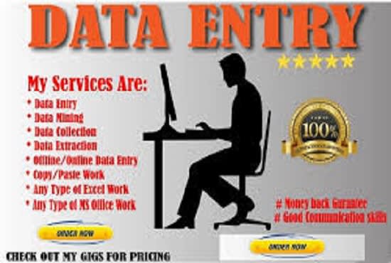 I will give best data entry services