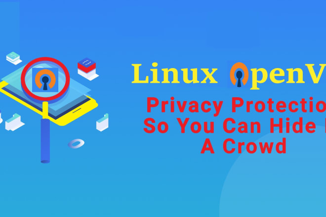 I will hide your identity on the internet with linux openvpn