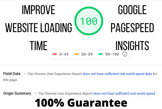 I will improve your google pagespeed insights score