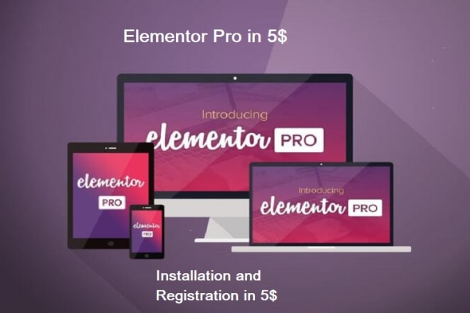 I will install elementor pro and register it for updates
