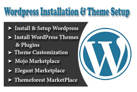 I will install themeforest wordpress theme, demo setup, customization