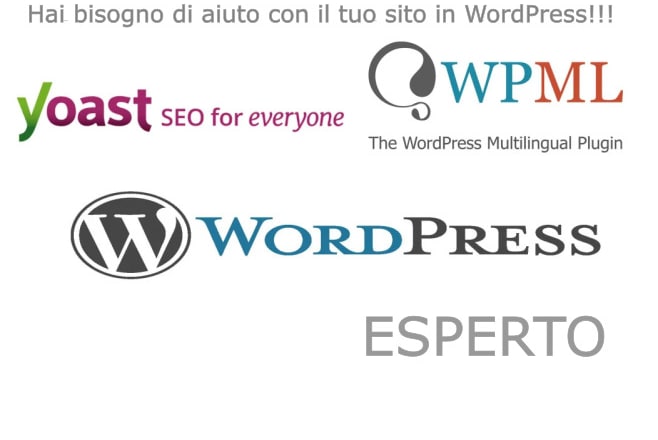 I will installo e creo siti wordpress