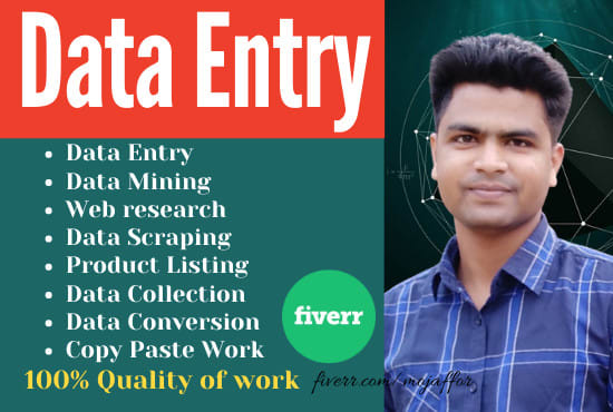 I will make a virtual assistant for data entry, web research and excel data entry