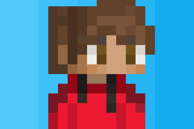 I will make you a minecraft pixel art character like
