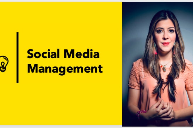 I will manage your social media and run campaigns