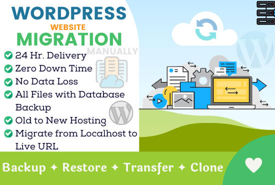 I will manually migrate your wordpress website