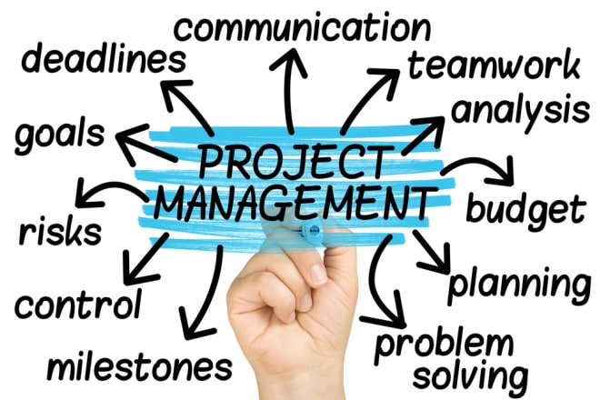 I will medior freelance project manager