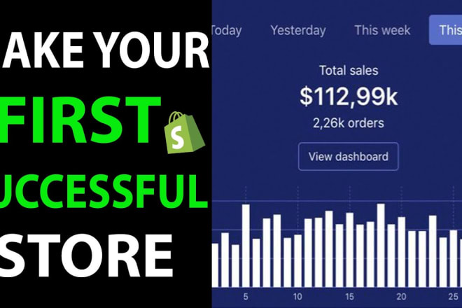 I will mentorship you to creating a dropshipping store from scratch