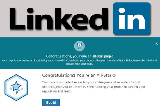 I will optimize your entire linkedin profile, business page, make all star
