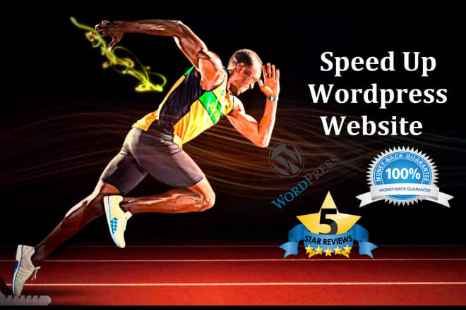 I will optimize your wp website speed and performance