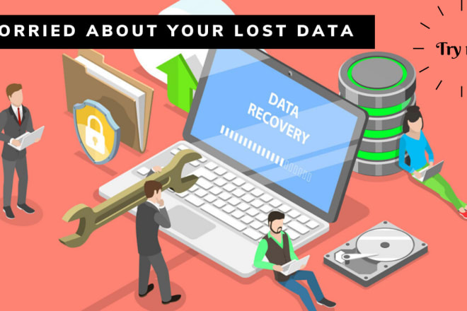 I will perform expert data recovery from pen drive and hard disk, corrupt file repair