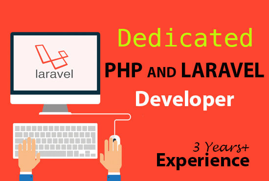 I will php and laravel developer