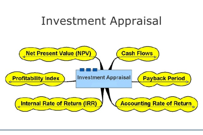 I will prepare net present value analysis and investment appraisals