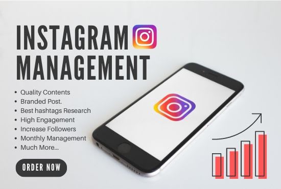 I will professionally manage and promote your instagram, increase followers