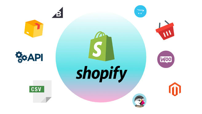 I will professionally migrate, design, and customize data from ecommerce to shopify