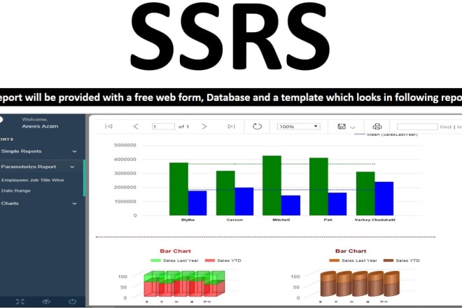 I will provide a visual and data ssrs within a day