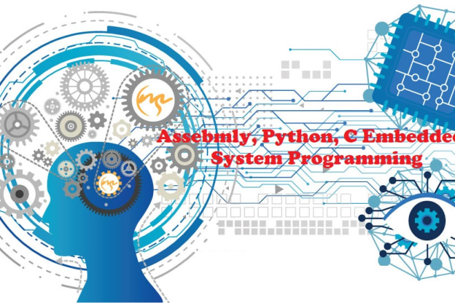 I will provide assembly, python and c embedded systems programming