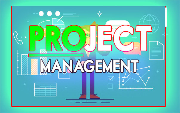 I will provide coaching on project, program or portfolio management