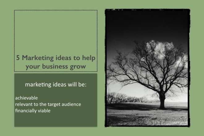 I will provide creative marketing ideas for your company