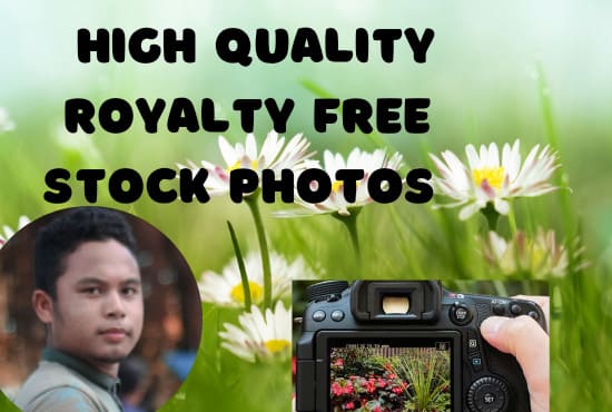 I will provide high quality royalty free stock images, stock photos