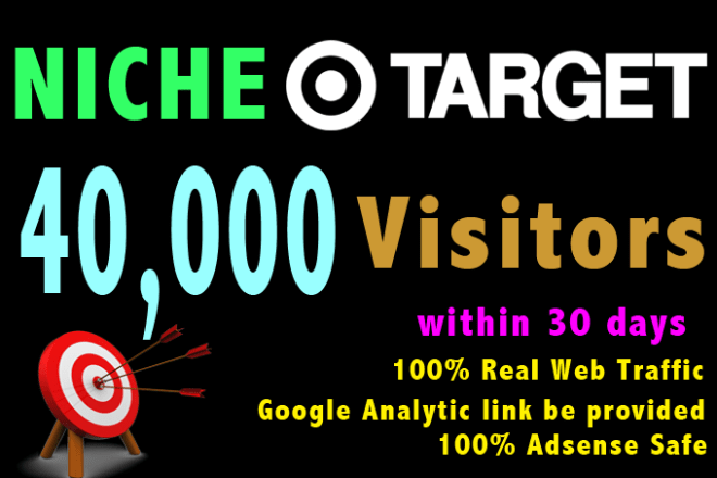 I will provide niche targeted top social website traffic visitors to your website