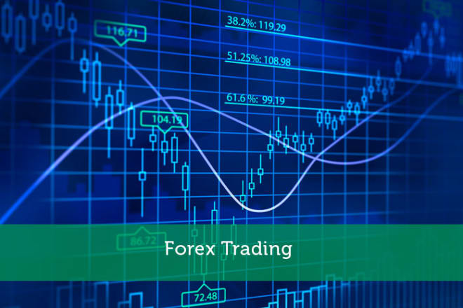 I will provide one backtested forex robot ea for mt4 and mt5