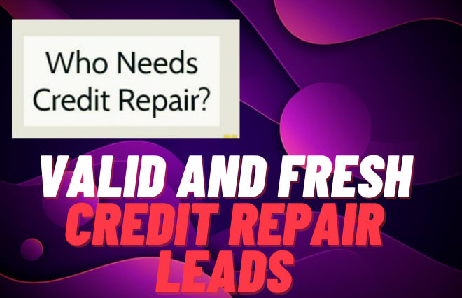 I will provide real credit repair leads