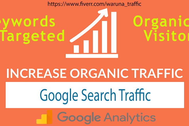 I will provide real visitors through organic search traffic for your website,blog