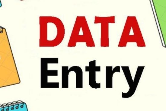 I will provide the best data entry and typing services