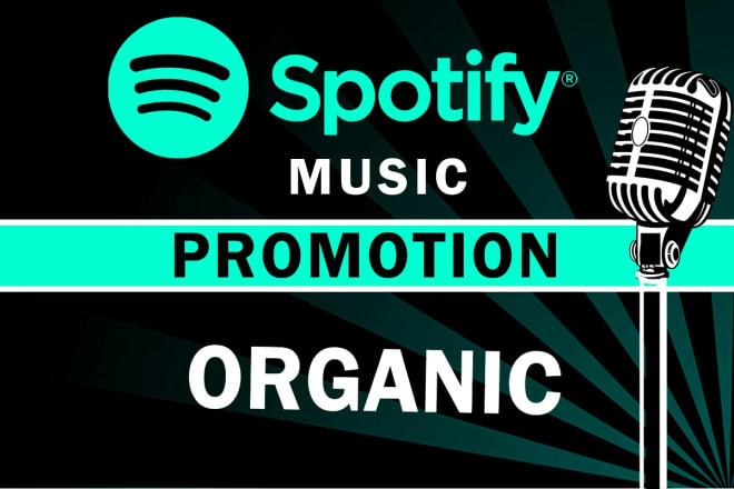 I will provide you full professional spotify music promotion packages