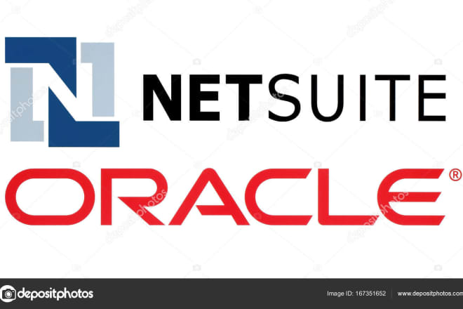 I will provide you netsuite erp,ecommerce service