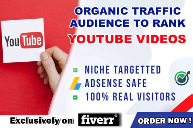 I will reach organic traffic audience to rank youtube videos