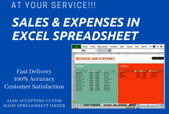 I will record your monthly sales and expenses in excel spreadsheet