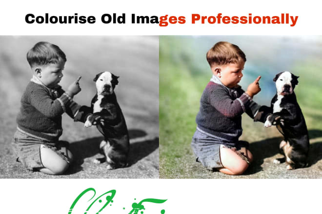 I will restore and colourise old images