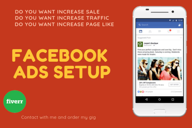 I will run a facebook ad campaign to grow page likes and traffic