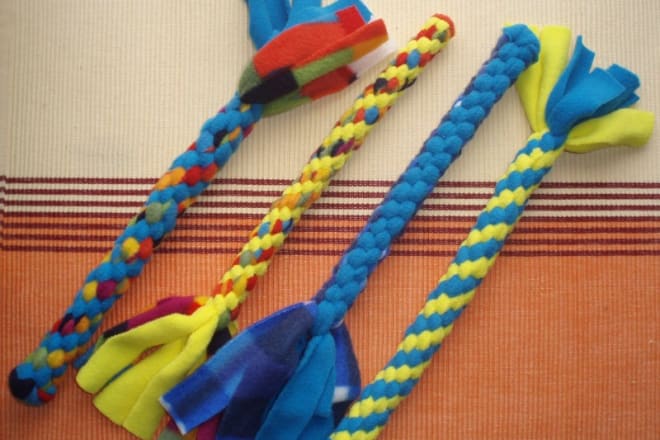 I will send you cute fleece dog rope toy