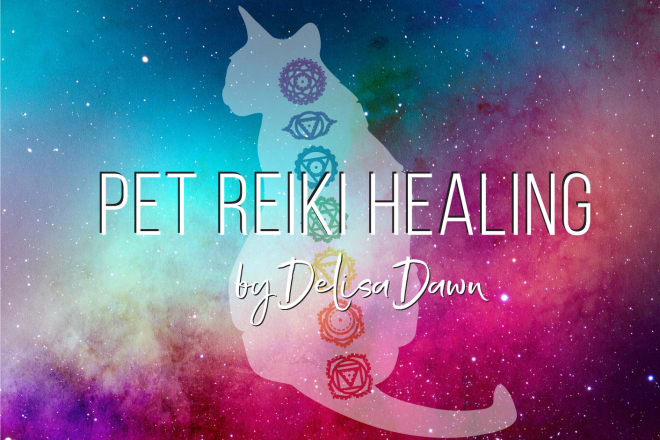 I will send your beloved pet distance reiki healing