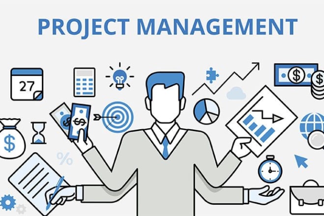 I will senior freelance project manager