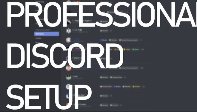 I will set up and support a professional looking discord server