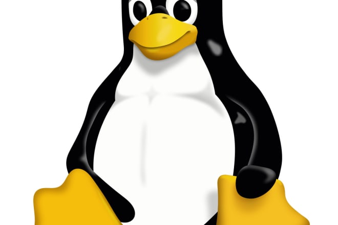 I will set up your linux server