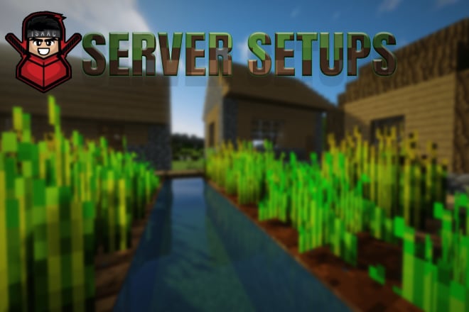 I will set up your minecraft server