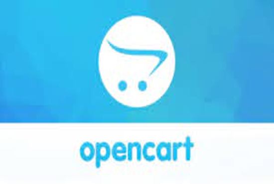 I will setup and customize an open cart store for you