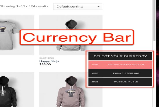 I will setup multi currency system into your wordpress website