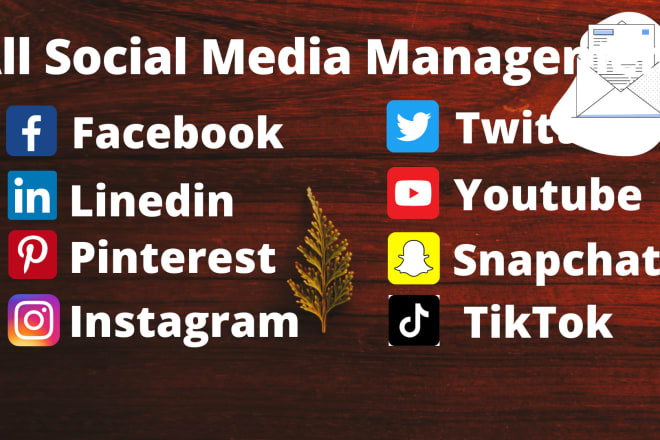 I will setup social media account with business page