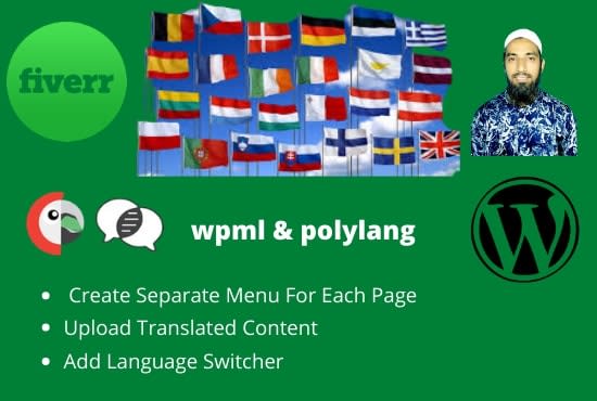 I will transfer language or change language by polylang plugin