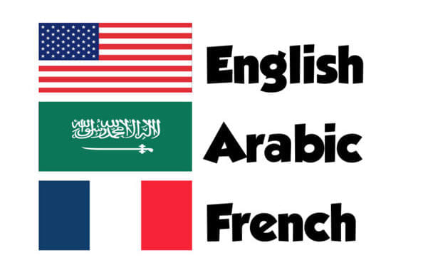 I will translate any document to english french arabic