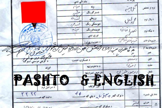 I will translate from pashto to english and vice versa