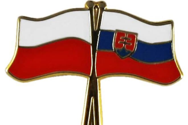 I will translate from slovak and slovenian or english to polish