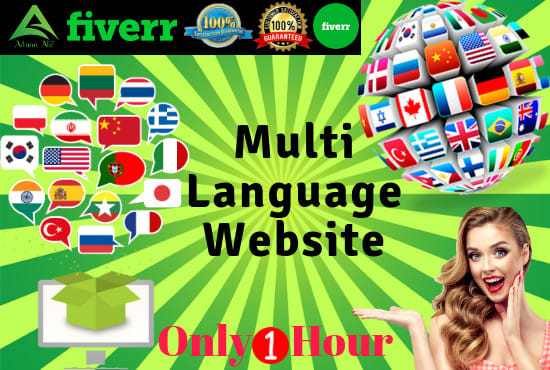 I will translate multi language on your wordpress website in 1 hour